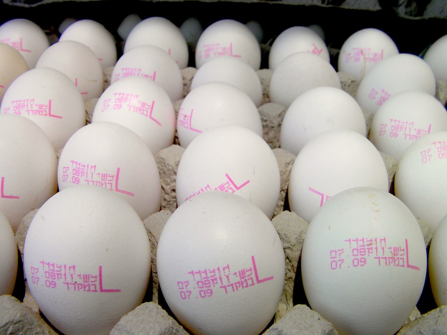 SANYO DIGITAL CAMERA