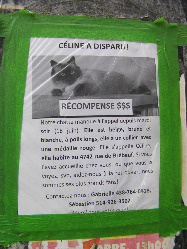 SANYO DIGITAL CAMERA