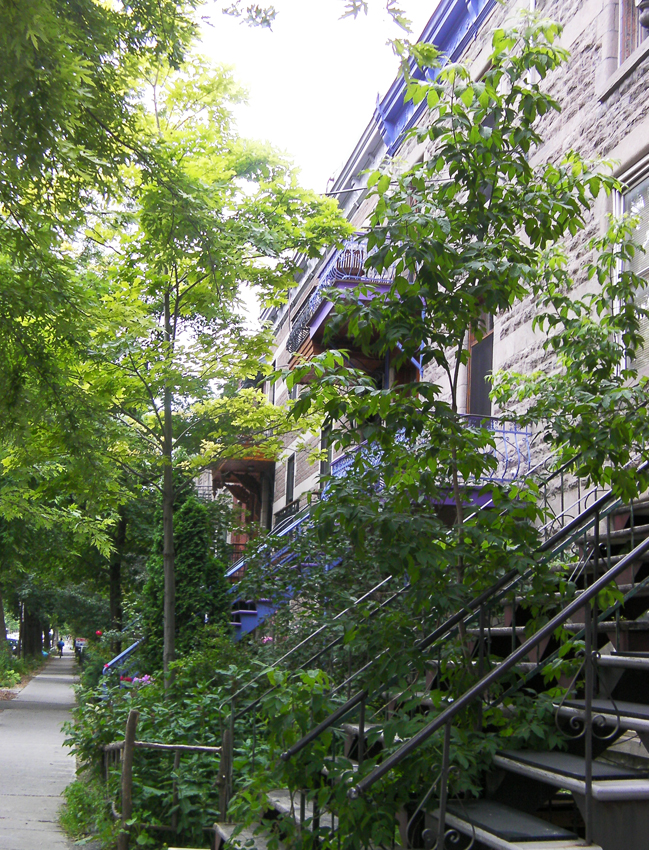 SANYO DIGITAL CAMERA