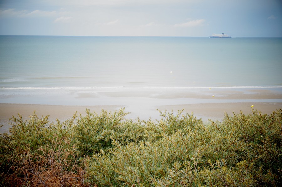PLAGE DE OYE PLAGE 1JPG